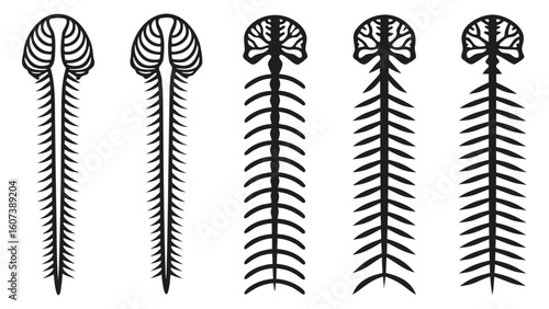 Human organs icon Set of stylized illustrations of Clipart Silhouette