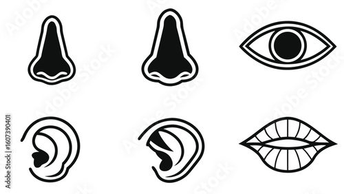 Human organs icon Set of stylized illustrations of Clipart Silhouette