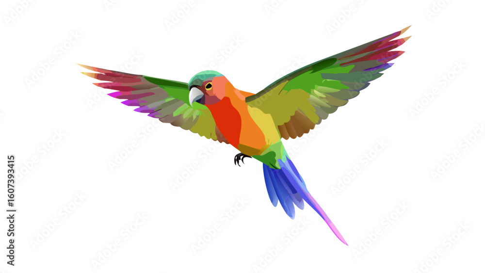 Obraz premium Vibrant parrot in flight with colorful wings and tail against black background