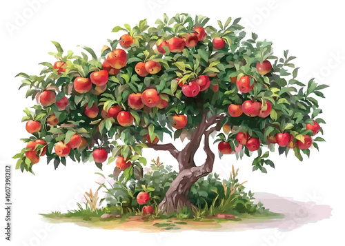 Ripe red apples hanging on a lush green apple tree branches watercolor vector fruit food