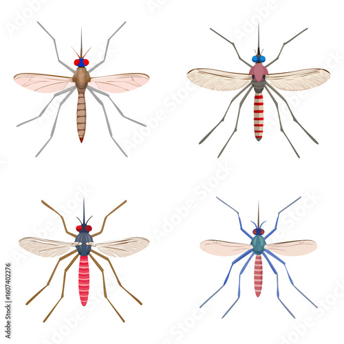Mosquito collection, vector illustration. 