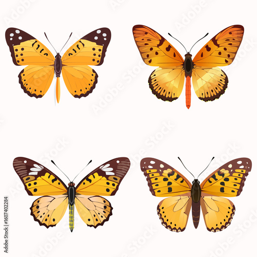 Butterfly collection, vector illustration.