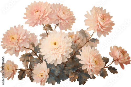 Delicate peach and white chrysanthemums with muted green foliage watercolor flower floral
