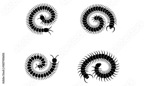Black centipede silhouette set isolated on white background
