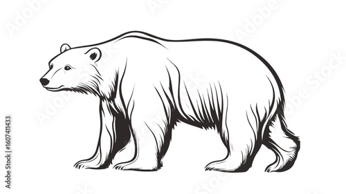 Polar Bear Vector Illustration on White Background for Graphic Design Projects