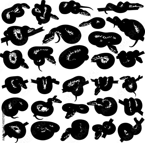 A collection of black silhouette illustrations depicting various snakes coiled, wrapped around branches, and in different poses.