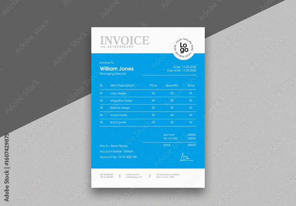 Billing Document Example Professional Invoice Template for Business Billing, Payment Records ...