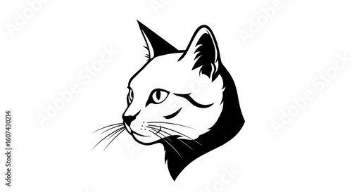 Graceful white cat portrait with striking eyes and elegant whiskers, perfect for pet lovers and stylish branding projects