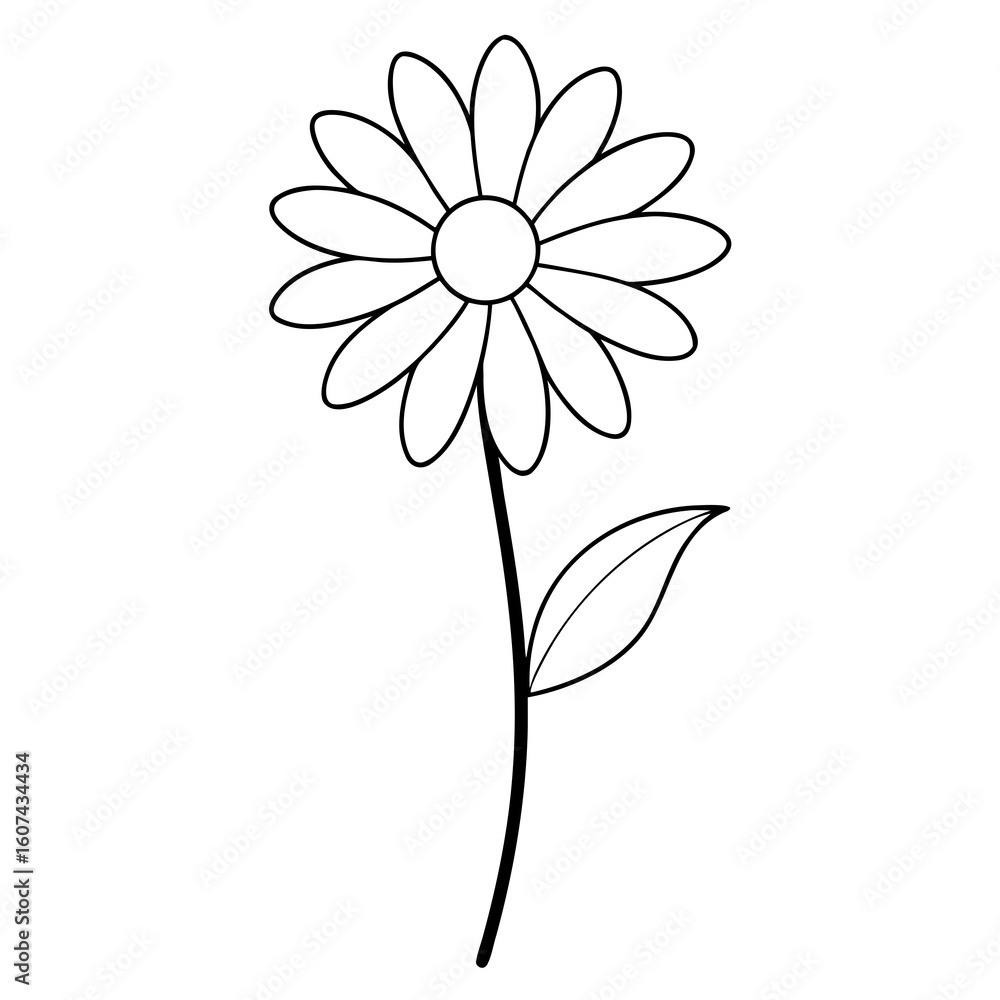 Fototapeta premium daisy flower isolated on white background
