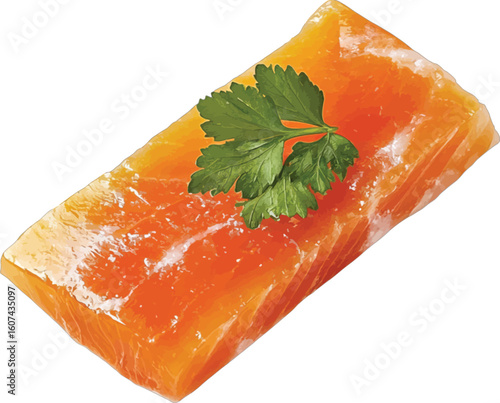 Fresh raw salmon fillet with parsley garnish fish seafood