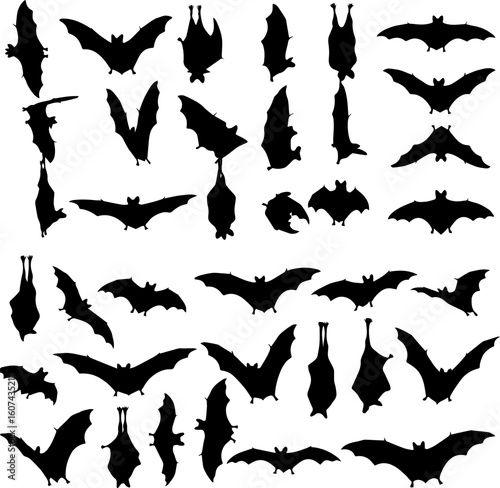 A collection of bat silhouettes in various poses, including flying, hanging upside down, and resting, displayed against a white background.