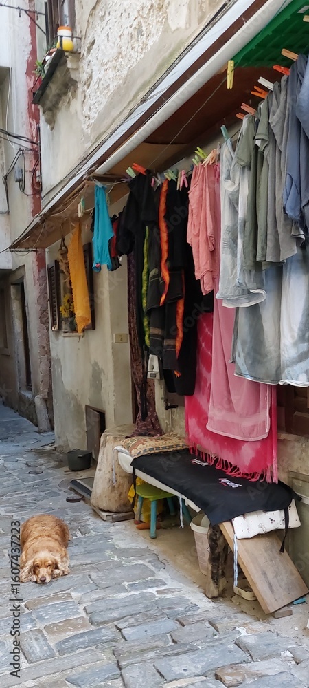 Fototapeta premium clothes drying in the sun