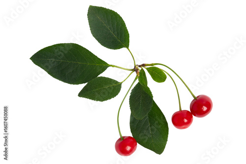 Three Red Cherries with Green Leaves, isolated on transparent background, PNG