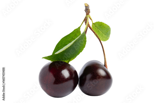 Two Dark Cherries with Leaves, isolated on transparent background, PNG