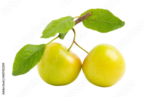 Two yellow cherry plums with leaves, isolated on transparent background, PNG