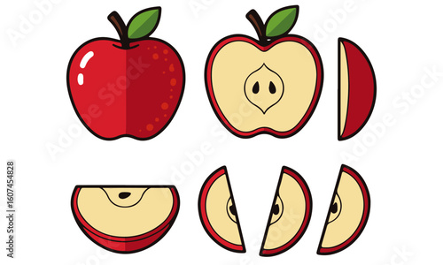 Red Apple Vector Illustration Set: Whole, Halved, and Sliced Fruit Graphics – Detailed Line Art of Fresh Apples for Healthy Food and Design Projects