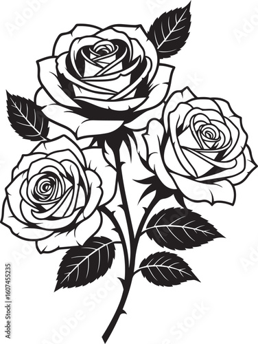 Wallpaper Mural Black and White Rose Bouquet Vector

 Torontodigital.ca