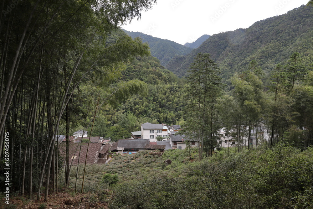 Tongmuguan Nature Reserve in Nanping Wuyishan city Fujian China Tongmuguan Nature Reserve in Nanping Wuyishan city Fujian China