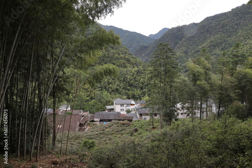 Tongmuguan Nature Reserve in Nanping Wuyishan city Fujian China
