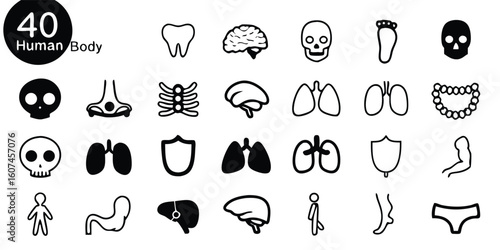 Collection of human body icons showcasing different body parts, such as limbs and organs, for anatomical reference..eps