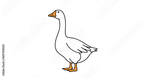 Discover the graceful majesty of the domestic goose a familiar yet fascinating waterfowl companion