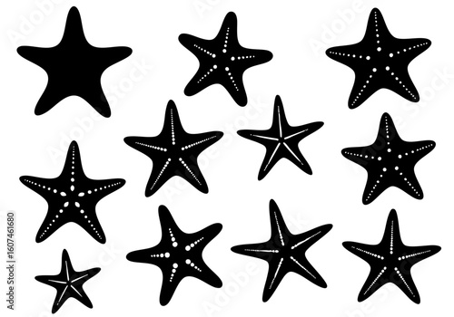 Silhouette Collection Starfish Sea Creature Nautical Marine Biology Illustration