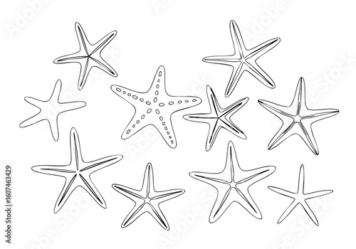Delicate Handdrawn Starfish Marine Life Illustration in Black and White Line Art