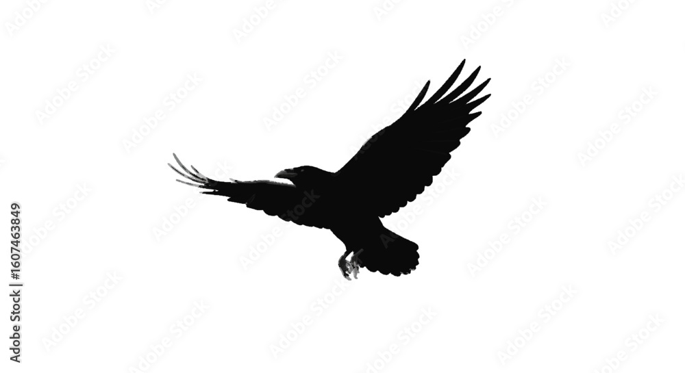 A raven flying in sky, vector silhouette dark theme, white background A raven flying in sky, vector silhouette dark theme, white background