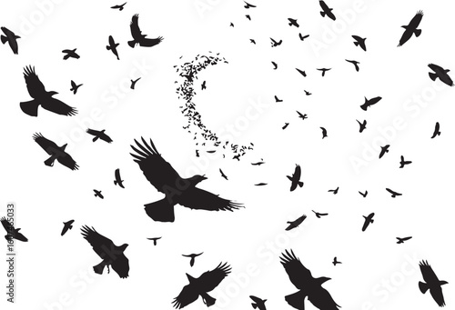 A Swarm of Birds Takes Flight An Artistic Black and White Display of Freedom and Collective Movement Against a White Background