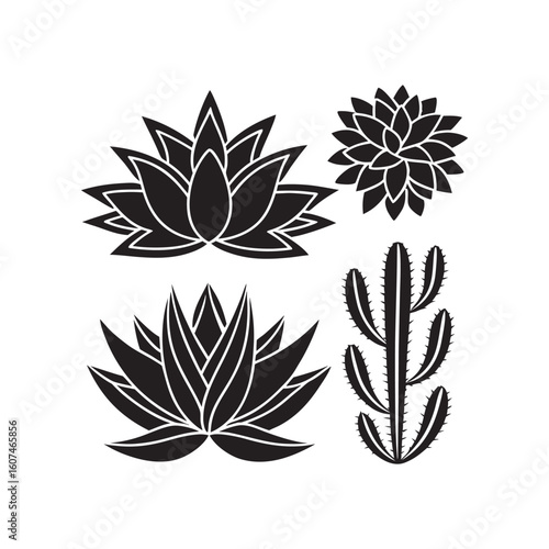 Silhouette Vector Illustration of Assorted Succulent and Desert Plants in Garden Row Featuring Aloe, Echeveria, and Leafy Botanical Elements