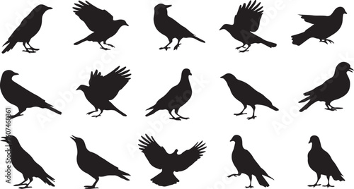 A Variety of Bird Silhouettes Displayed in a Grid Pattern Set Against a Plain White Background Creating Contrast