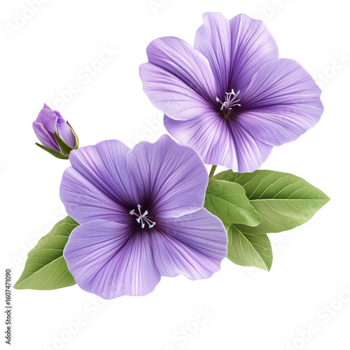 Hyperrealistic hibiscus flower with soft shadows, on transparent png background. Ai generated