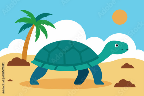 turtle on the beach