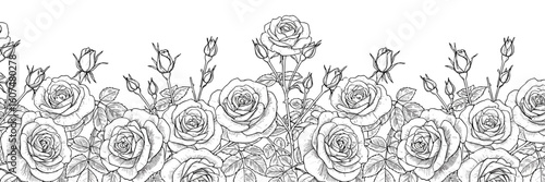 Rose bush vector border on the bottom for greeting cards and branding — vintage sketch doodle vector illustration on white background