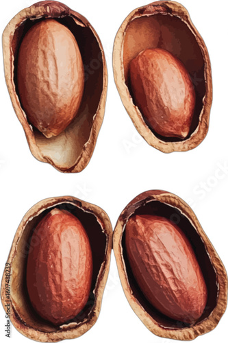 Collection of raw peanuts in their shells food snack
