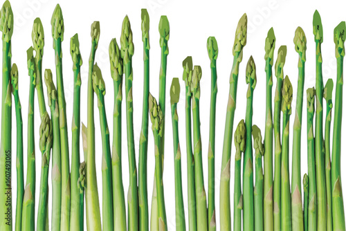Fresh green asparagus stalks vegetable food