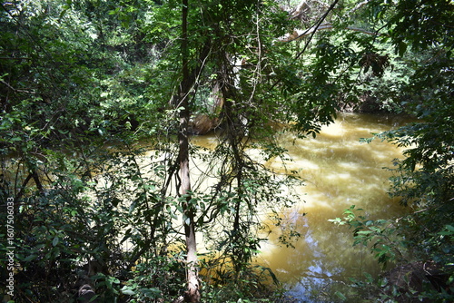 River Falling through Sri Bhodiraja Aranya Senasanaya, Hiriwadunna, Habarana, Sri Lanka.