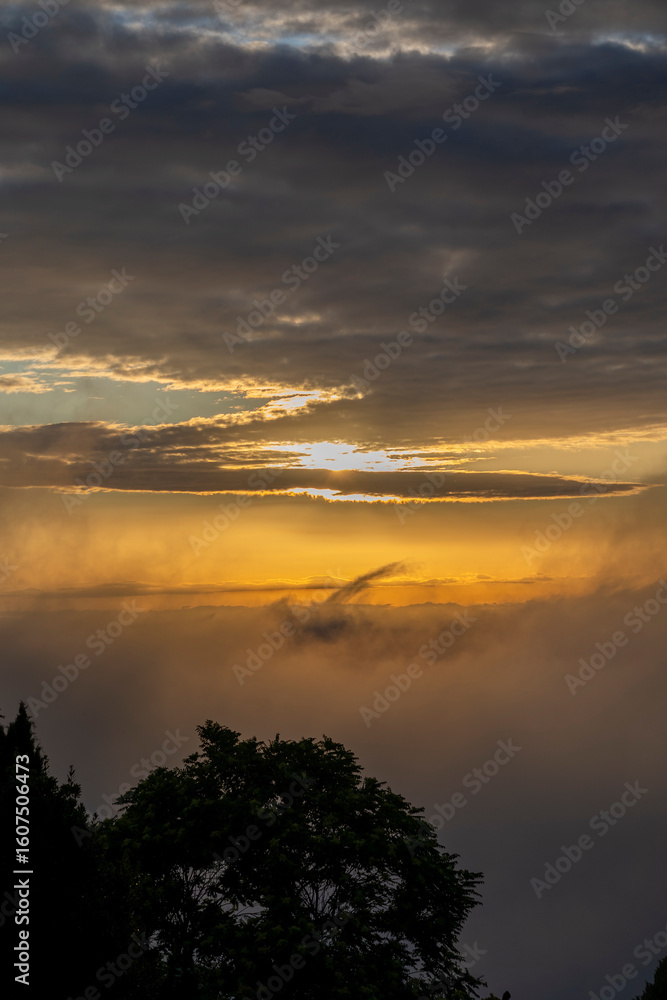Fototapeta premium golden sunset over the clouds or fog of tuscany in a view from Montepulciano into the backlight of the going sun with silhouettes of trees