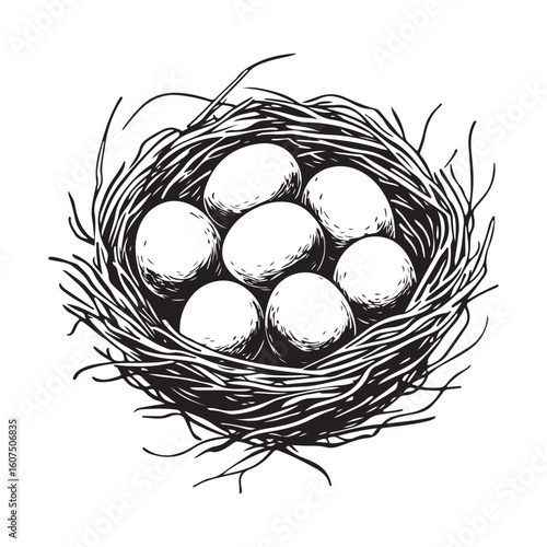 Nest with eggs silhouette isolated on a white background, Nesting season bird’s nest with eggs nature illustration, Bird nest with eggs silhouette vector art for nature conservation