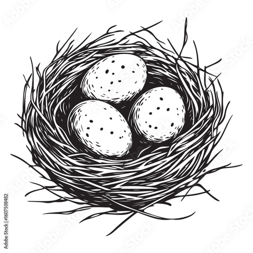 Nest with eggs silhouette isolated on a white background, Nesting season bird’s nest with eggs nature illustration, Bird nest with eggs silhouette vector art for nature conservation