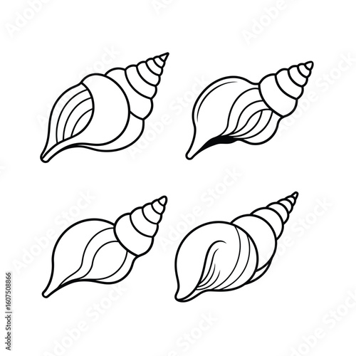 Schilderij op canvas A set of seashell whelk stroke line art vector illustration