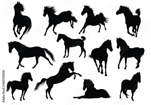 A collection of horse silhouettes in various poses against a white background in a graphic illustration