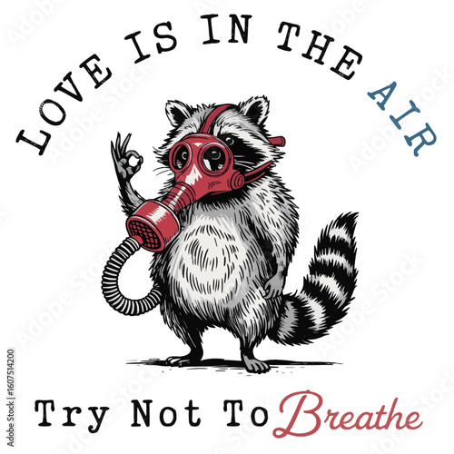 funny cartoon raccoon illustration