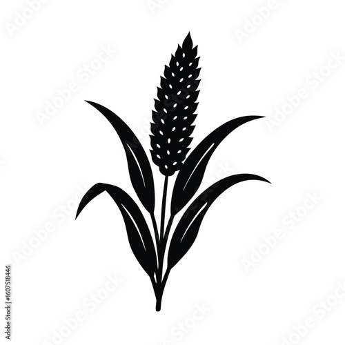 vector illustration of a millet