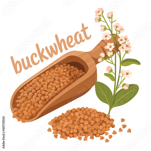Wooden scoop filled with buckwheat seeds next to a buckwheat plant