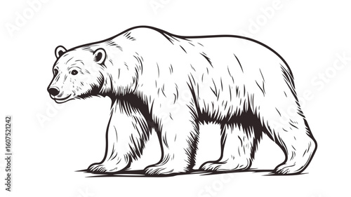 Polar Bear Vector Illustration on White Background for Graphic Design Projects
