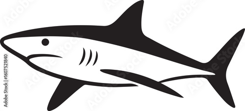 Shark silhouette white background vector graphic, Marine life illustration bold and black