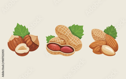 Assortment of fresh nuts and peanuts with green leaves