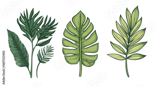 Exotic Tropical Leaves Set in Isolated Vector Illustration