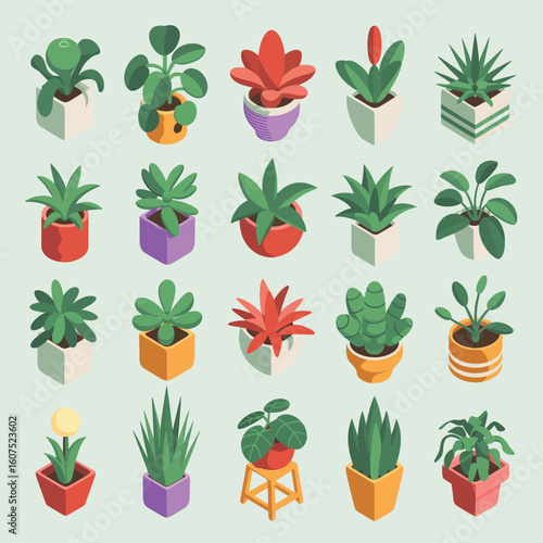 Collection of various potted houseplants in isometric view